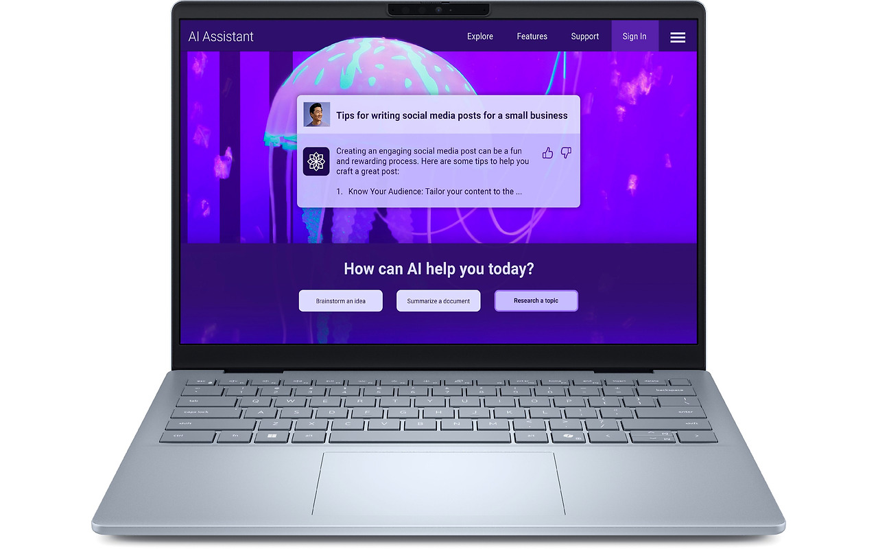 DELL 14 Plus / 14 QHD+ IPS / Core Ultra 7 256V / 16GB LPDDR5x / 512GB SSD / Windows 11 Pro