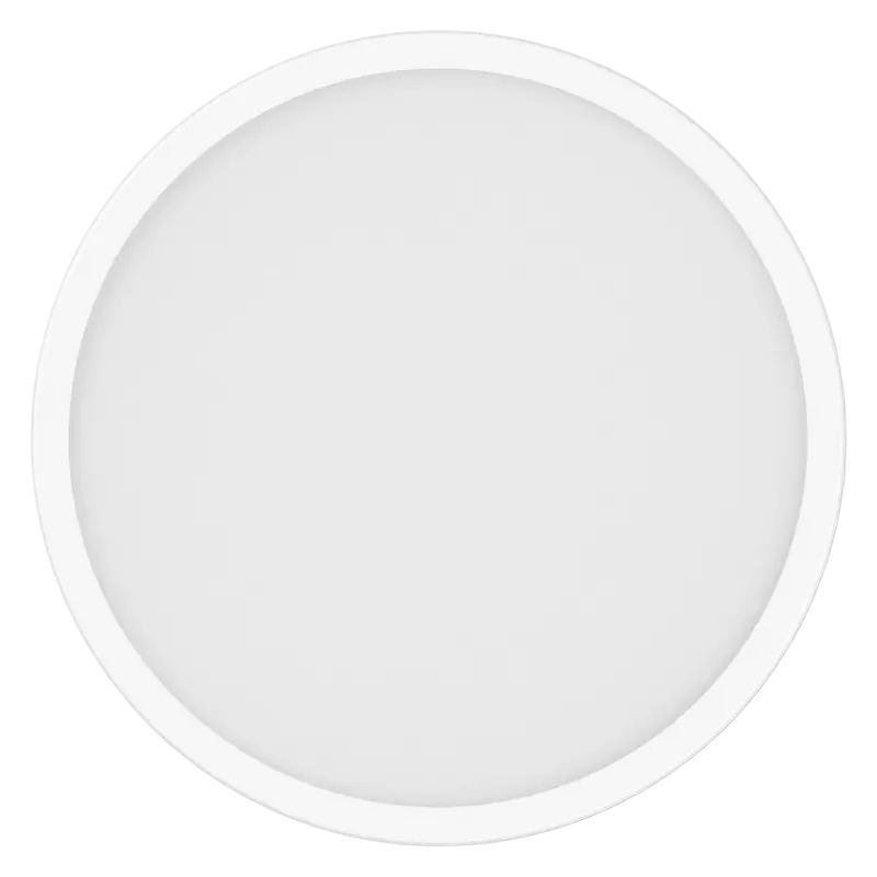 Xiaomi Smart Ceiling Light D30