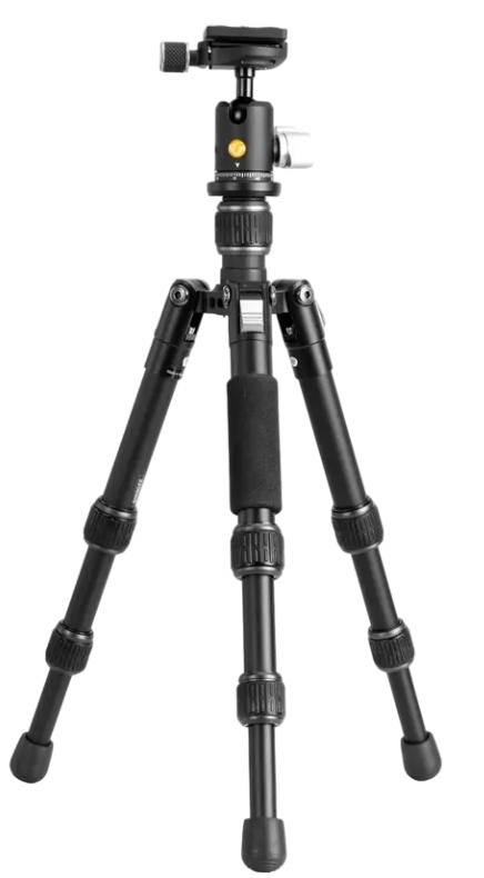 Vanguard VESTA GOT 233CP