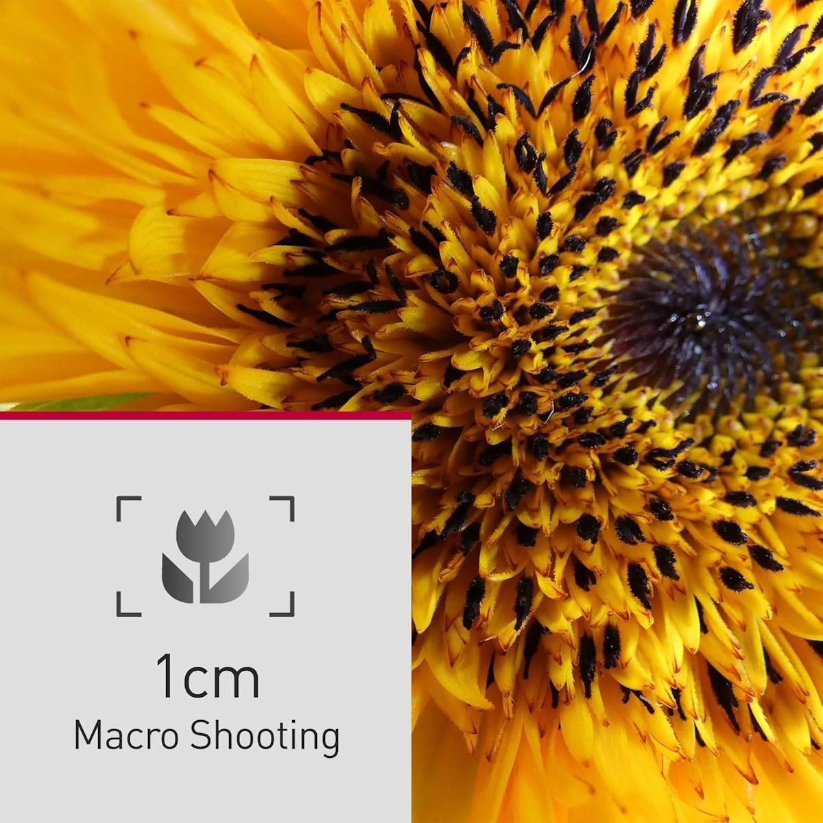 Panasonic DC-FZ82DE-K