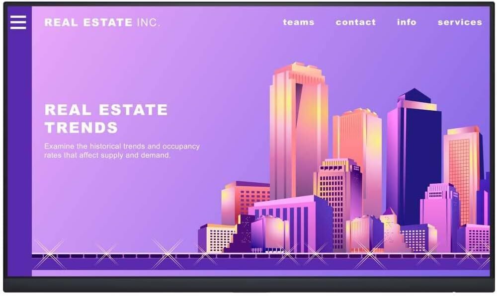 DELL P2422H / 23.8 IPS FullHD Without Stand