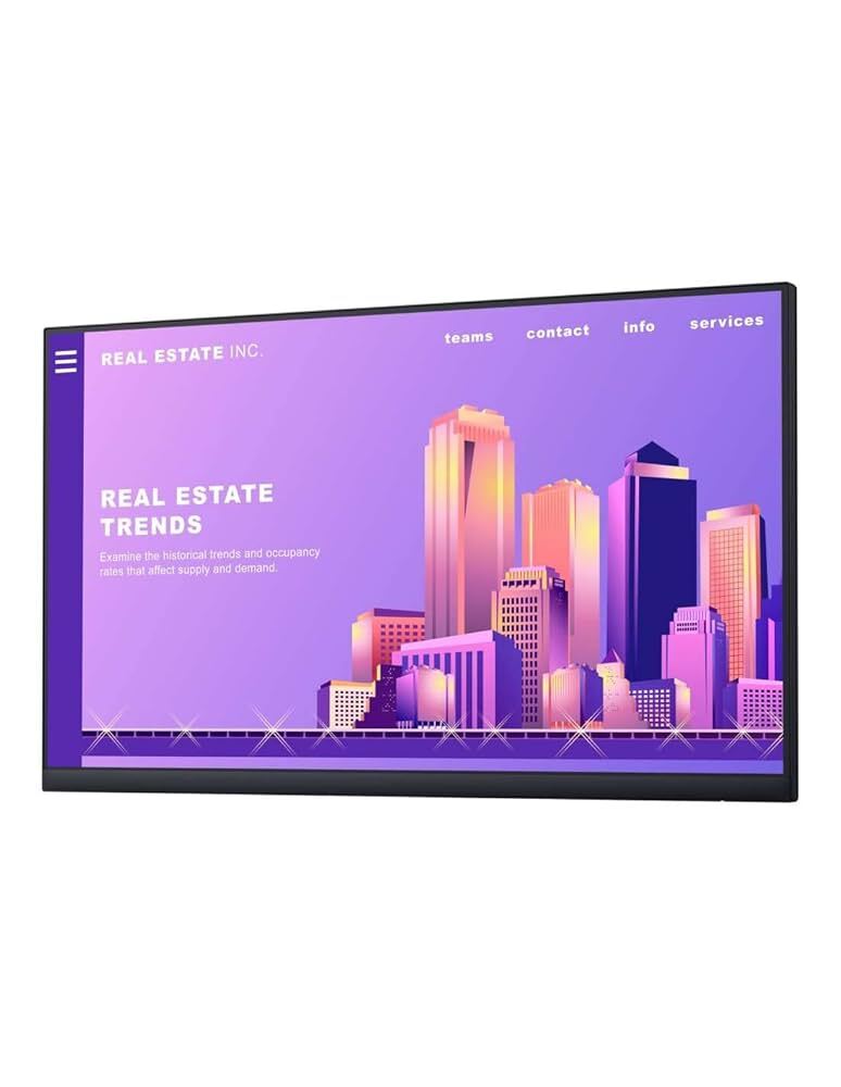 DELL P2422H / 23.8 IPS FullHD Without Stand