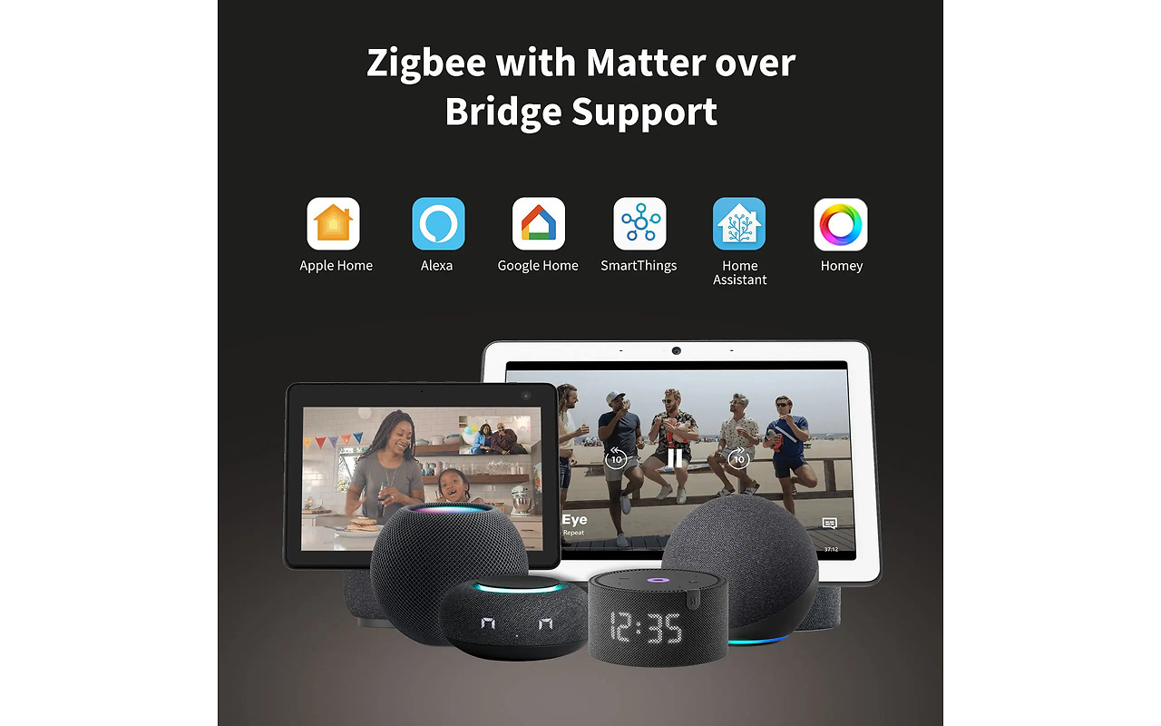 Aqara Display Switch V1