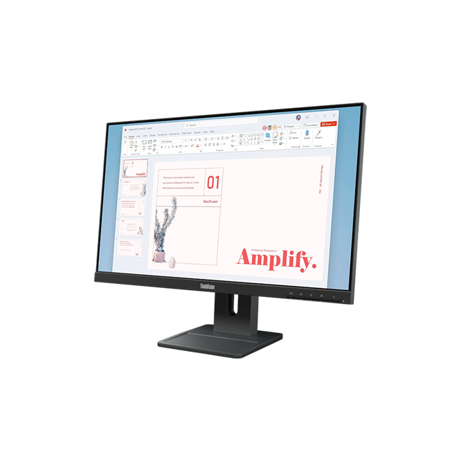 Lenovo ThinkVision E24-40 / 23.8 IPS FullHD Black