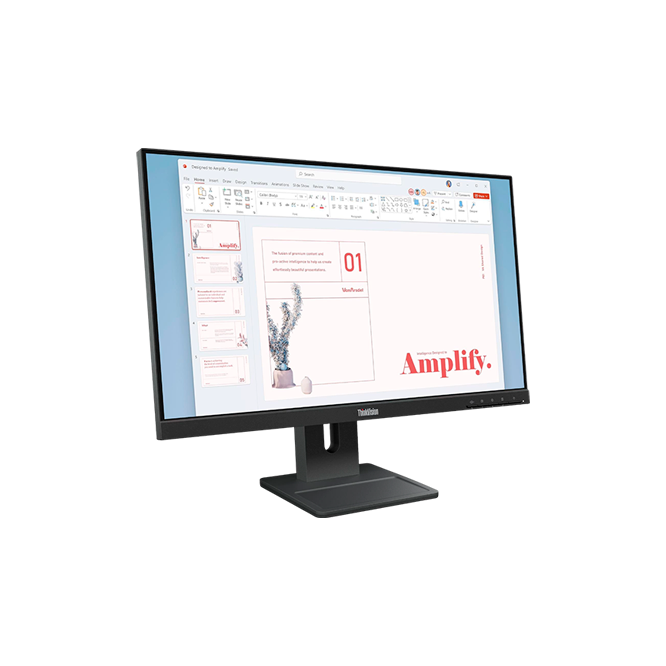 Lenovo ThinkVision E24-40 / 23.8 IPS FullHD Black