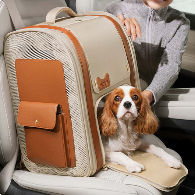 Mova Pet Backpacks Carrier PB10 Pro