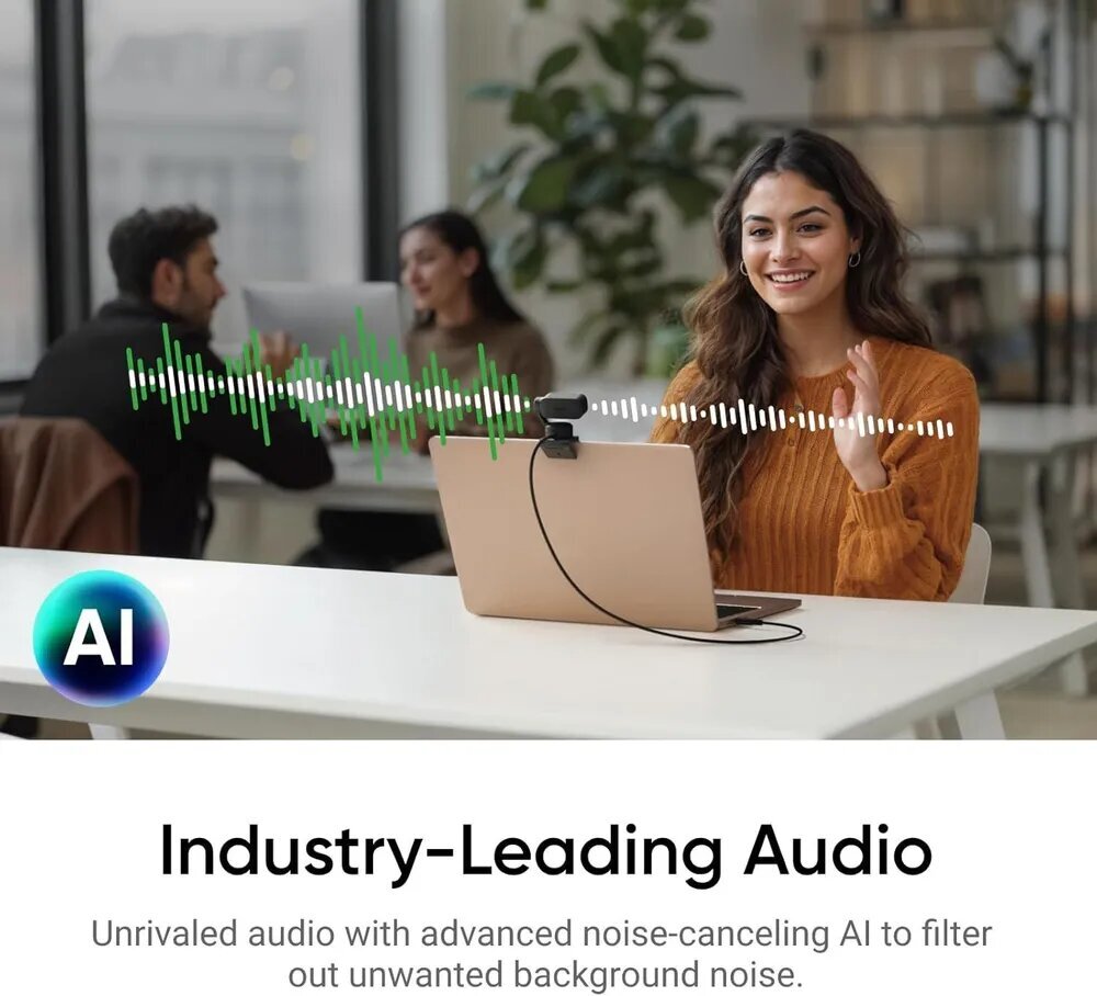 Insta360 Link 2 / Standard Edition CINSABNB