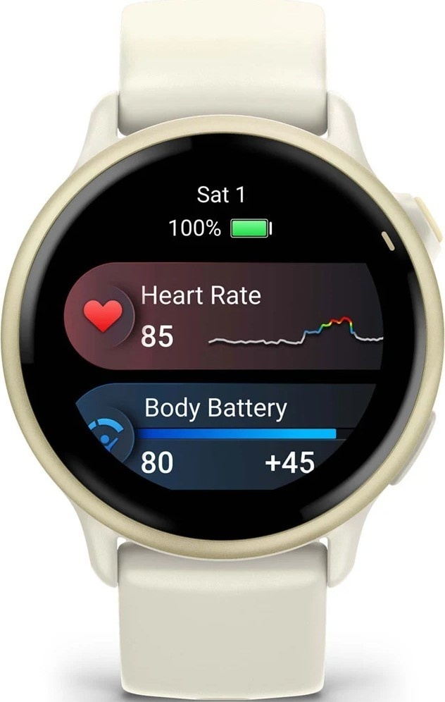 Garmin Vivoactive 6 / 010-02985-01