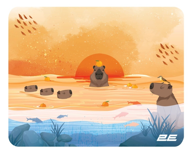 2E CAPYBARRA S / 250x200x2mm