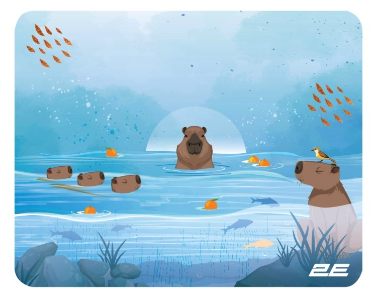 2E CAPYBARRA S / 250x200x2mm