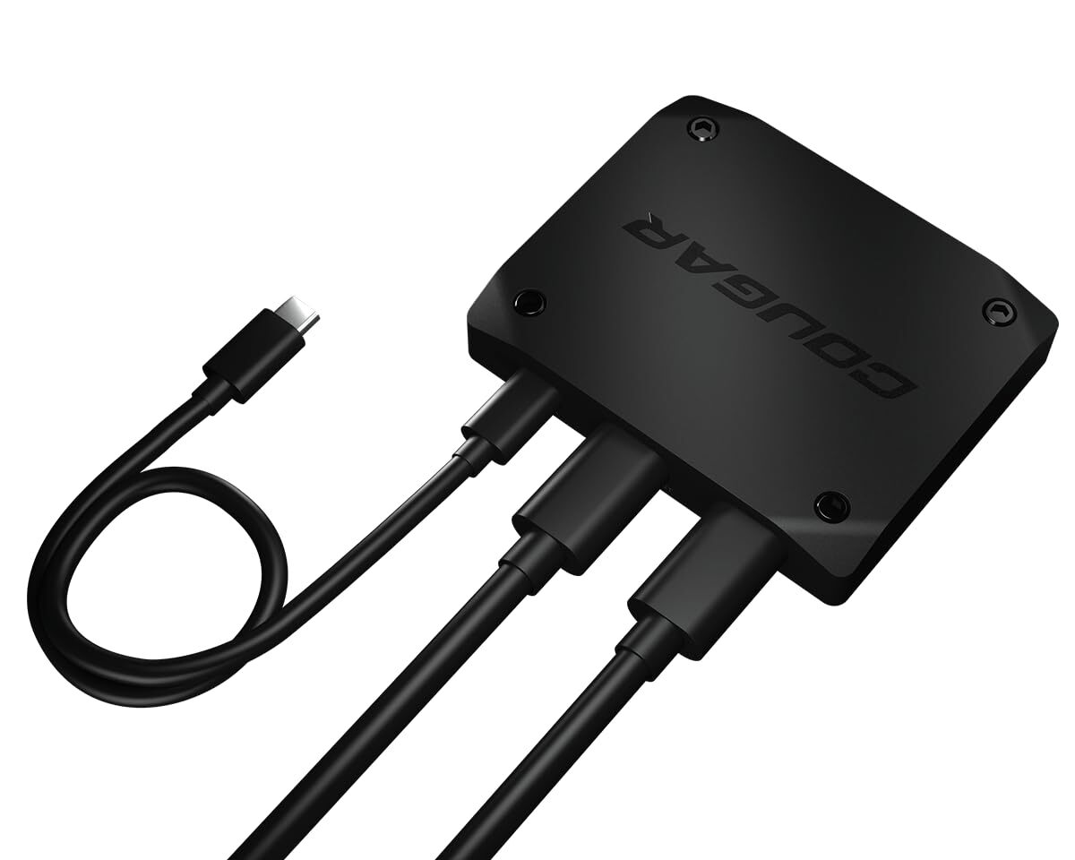 Cougar video capture ENVISION