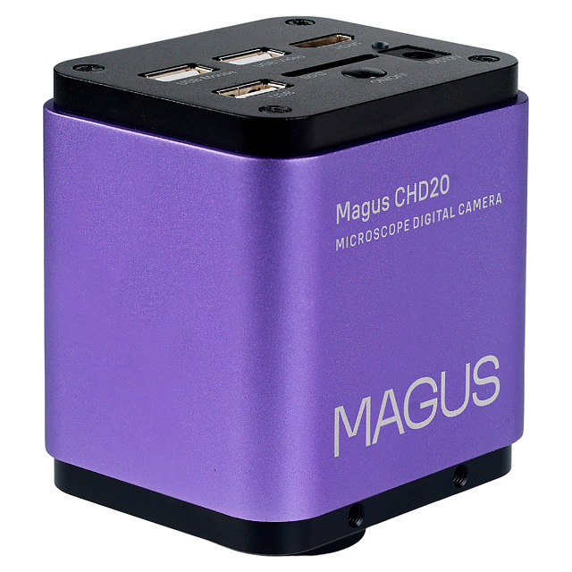 MAGUS CHD20