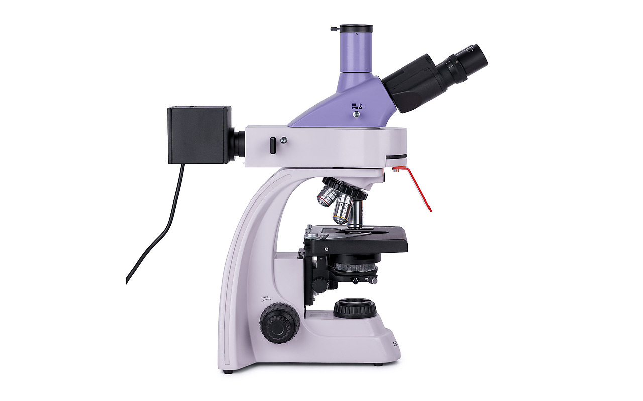 MAGUS Lum D400L LCD Fluorescence