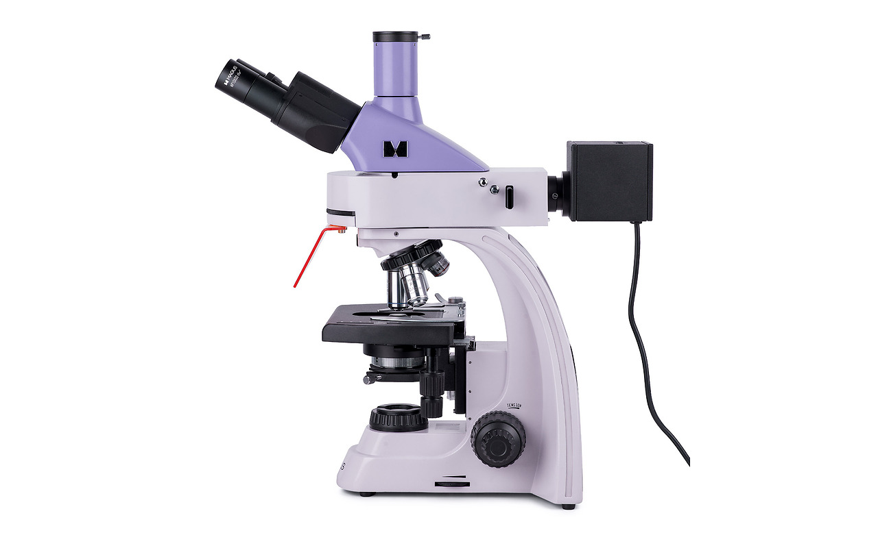 MAGUS Lum D400L LCD Fluorescence