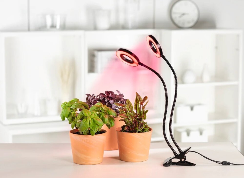 Xavax Circle LED Plant / 112696 Black