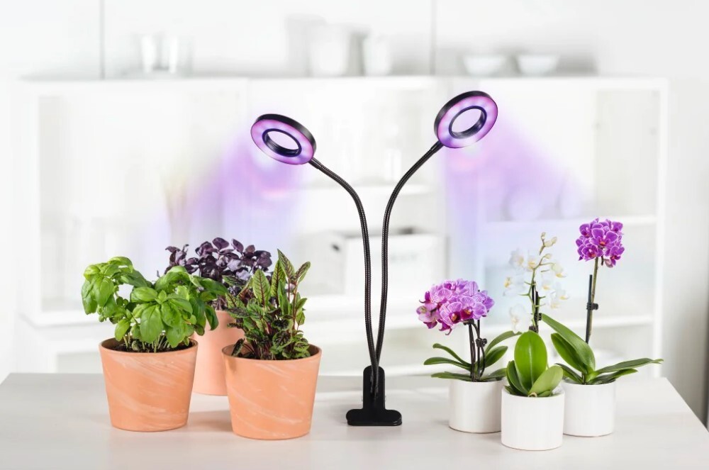 Xavax Circle LED Plant / 112696 Black