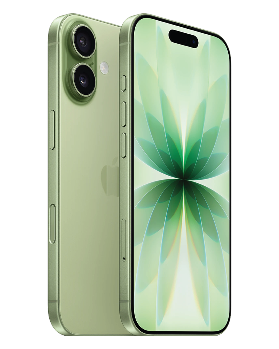 Apple iPhone 17 / 6.3 Super Retina XDR OLED / Apple A19 / 8GB / 256GB / 3692mAh Green