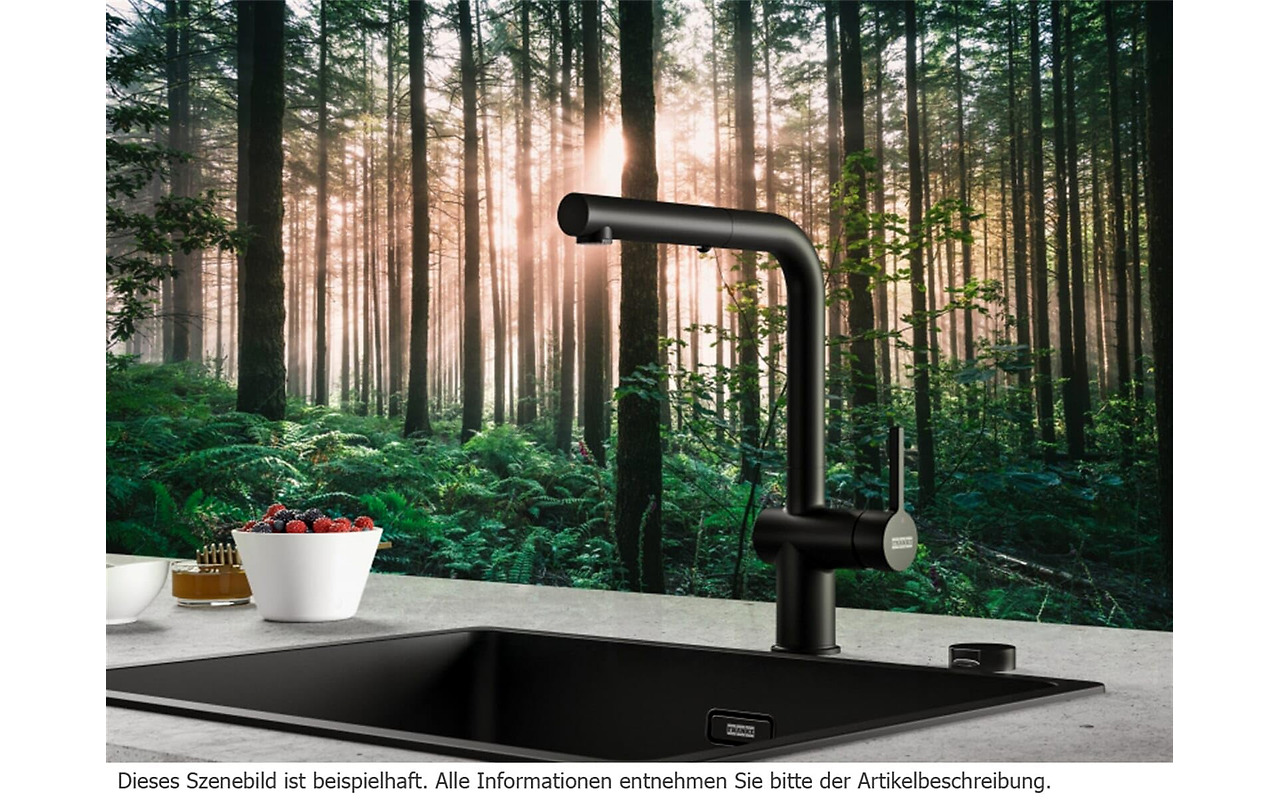 FRANKE Active L Onyx / 115.0653.384