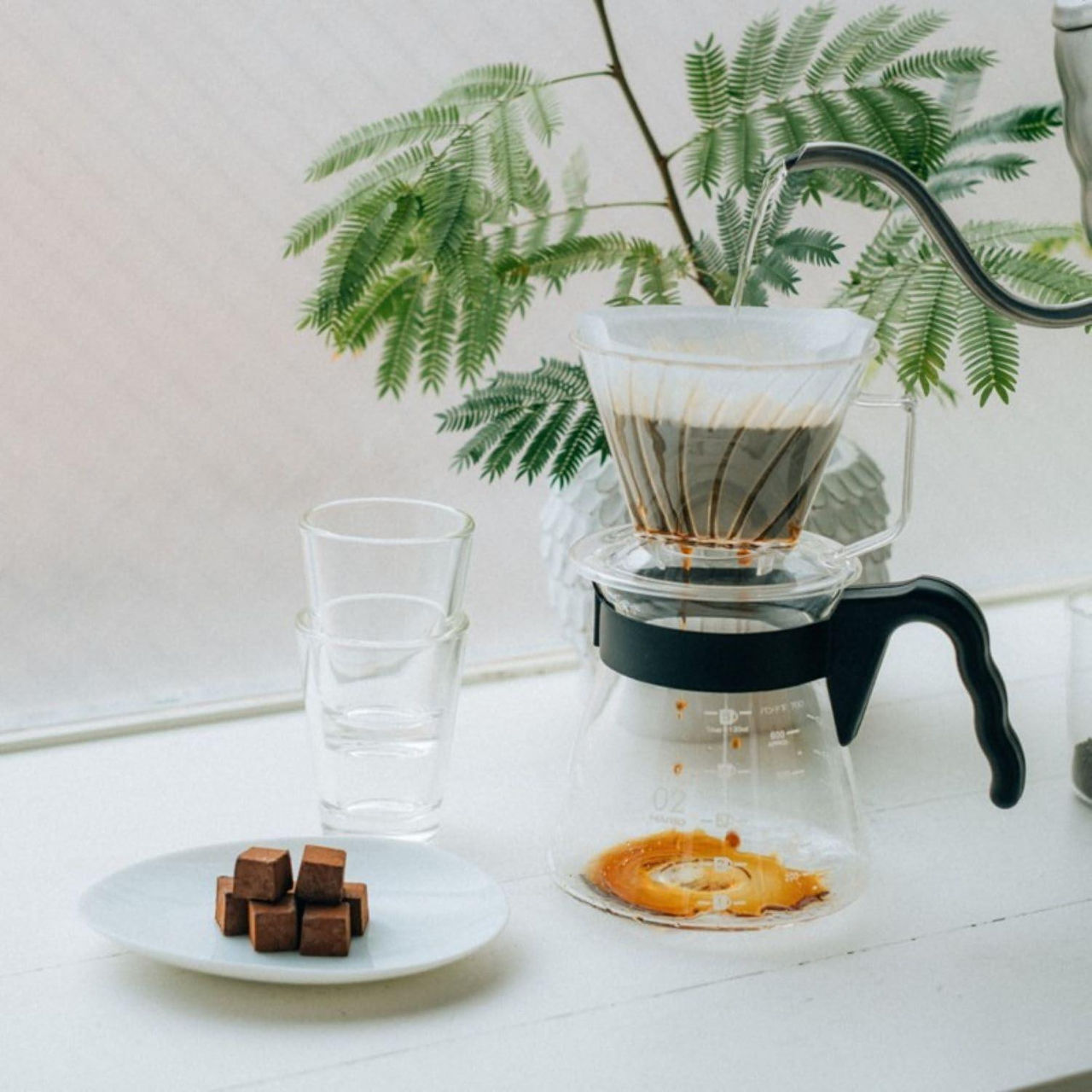 HARIO Pegasus Dripper 02 PED-02-T