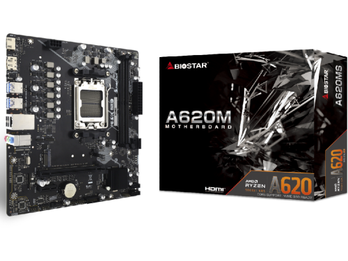 Biostar A620MS