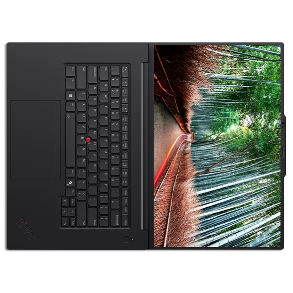 Lenovo ThinkPad P1 Gen8 / 16 WUXGA IPS AG / Core  Ultra 7 265H / 32GB LPDDR5x / 1TB SSD / Windows 11 PRO