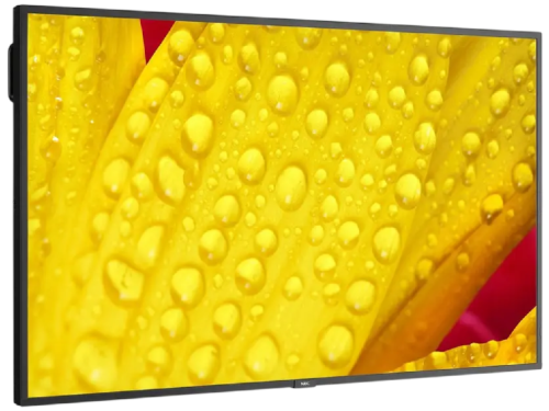 NEC M651-2 / 65 IPS  4K UHD