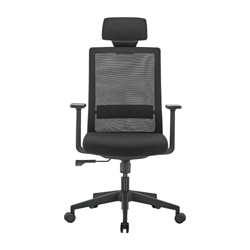 LumiVida Ergonomic Office LV-CH05-37