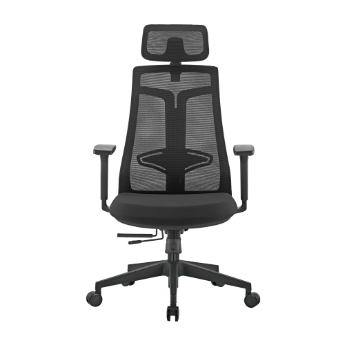 LumiVida Ergonomic Office LV-CH05-40
