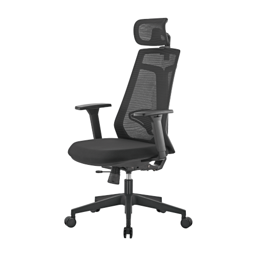 LumiVida Ergonomic Office LV-CH05-40