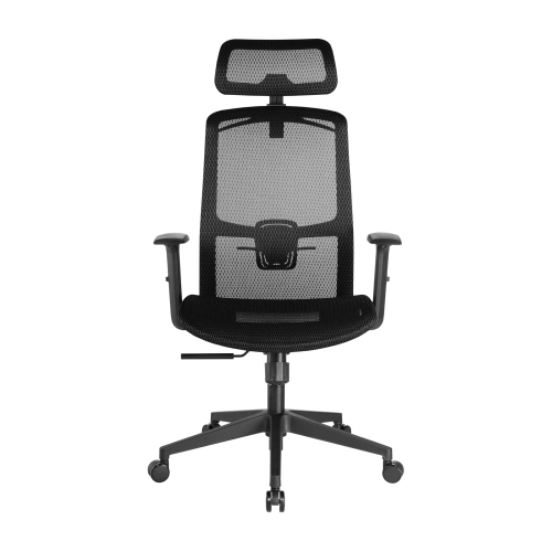 LumiVida Ergonomic Office LV-CH05-18