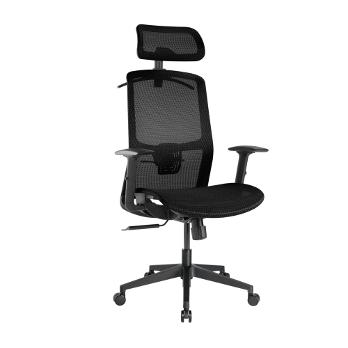 LumiVida Ergonomic Office LV-CH05-18