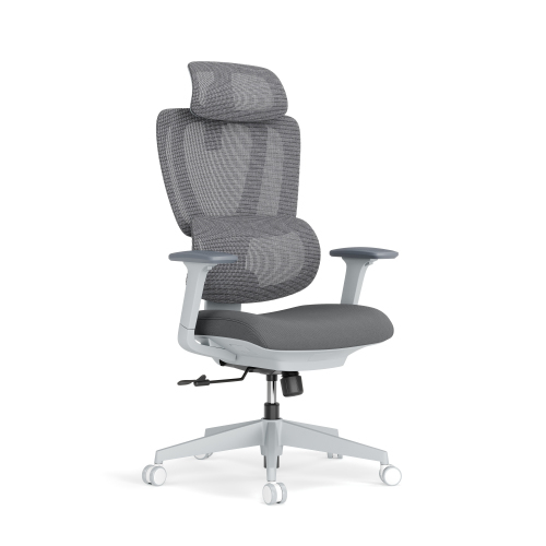 LumiVida Ergonomic Office LV-CH10-26