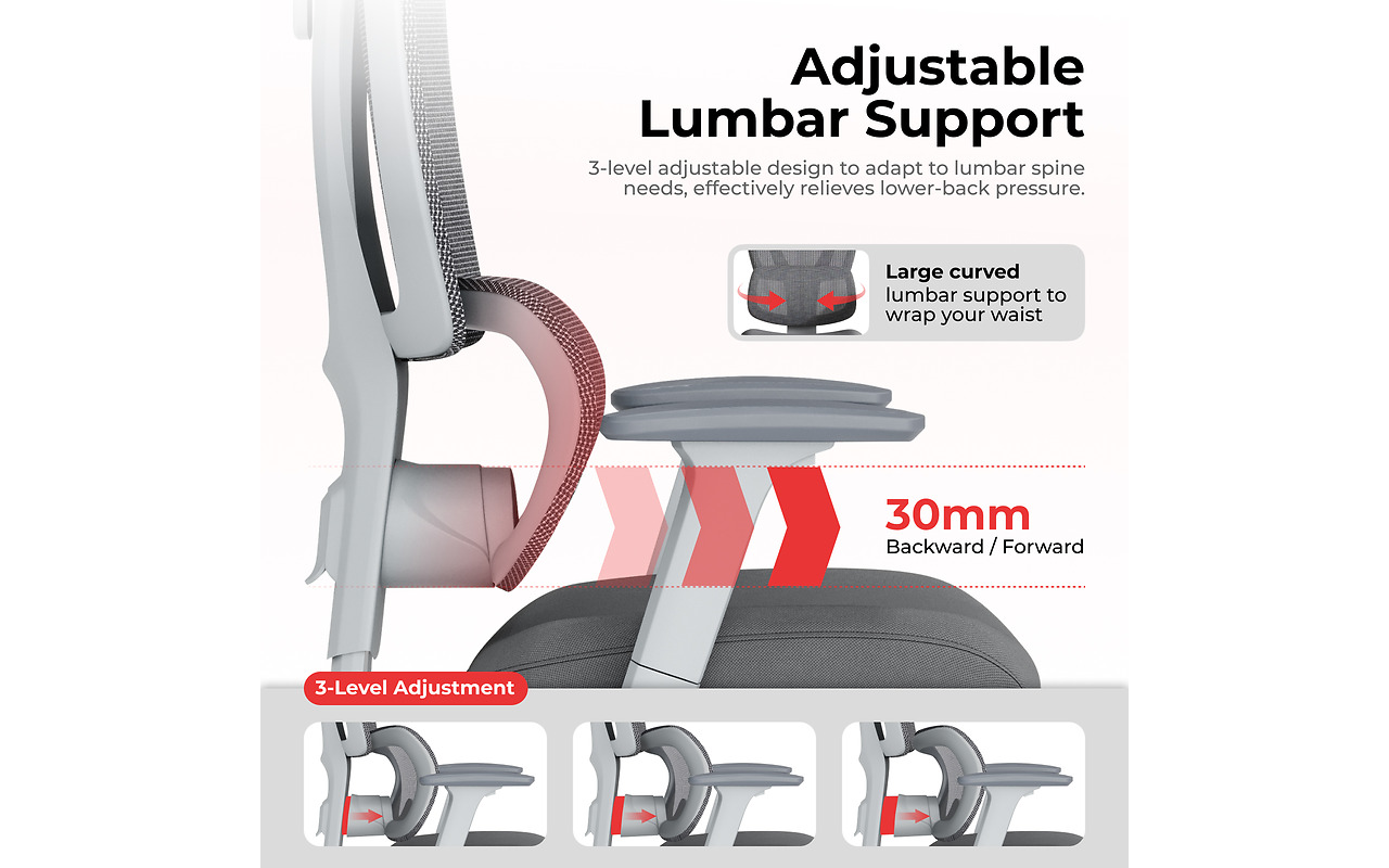 LumiVida Ergonomic Office LV-CH10-26