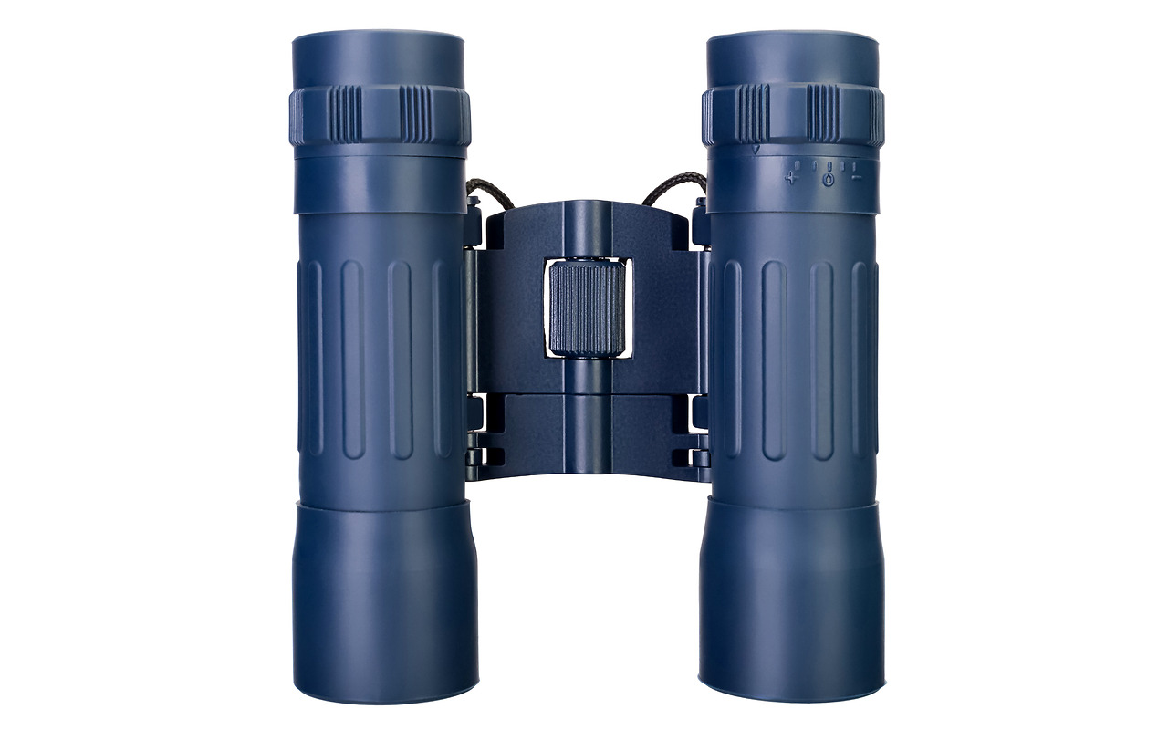 Levenhuk Discovery Basics BB 10x25 / 5905555000015