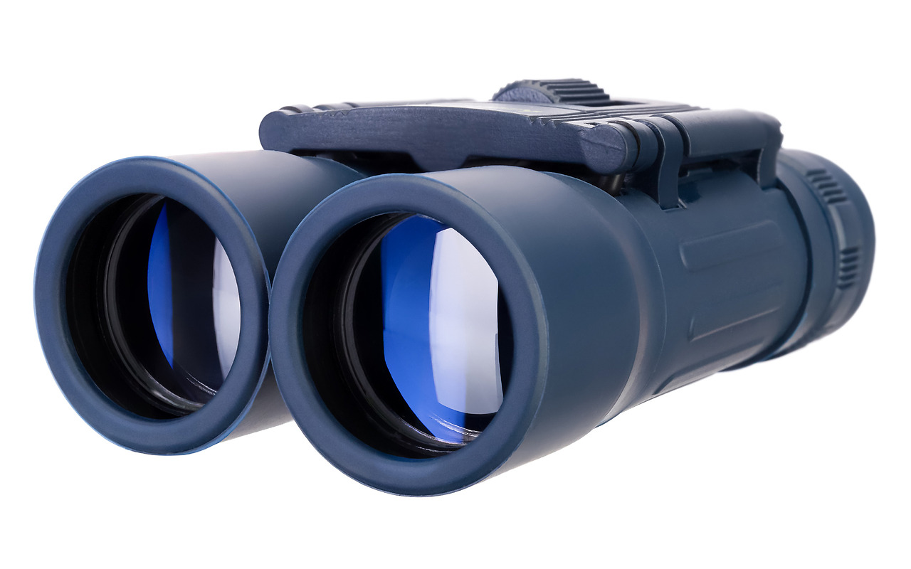 Levenhuk Discovery Basics BB 10x25 / 5905555000015