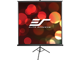 Elite Screens T100UWV1