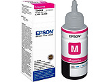 Ink Epson T66434A / 70ml /