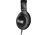 Sennheiser HD 559