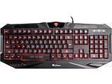 Natec Genesis RX66 English