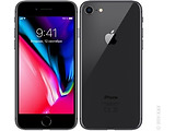 Apple iPhone 8 64Gb / Grey