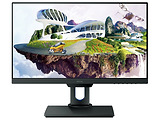 Monitor BenQ PD2500Q / 25.0" AH-IPS W-LED WQHD / 5ms / 350cd / Pivot / Black