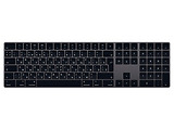 Apple Magic Keyboard MRMH2RS/A / with Numeric Keypad / Grey