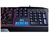 Genius Scorpion K215 / 12 function keys / 7 colors backligt / Black