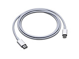 Apple Lightning to USB-C Cable / 1m