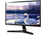 LG 27MP59G-P / 27 FullHD IPS / Black