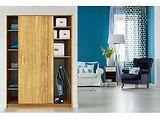 Rowenta RH6751WO / Blue