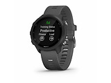 Garmin Forerunner 245 / 010-02120 / Grey