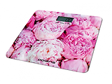 Polaris PWS1872DG / Pink