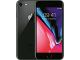Apple iPhone 8 128Gb / Grey