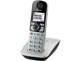 DECT Panasonic KX-TGE510RUS / Silver